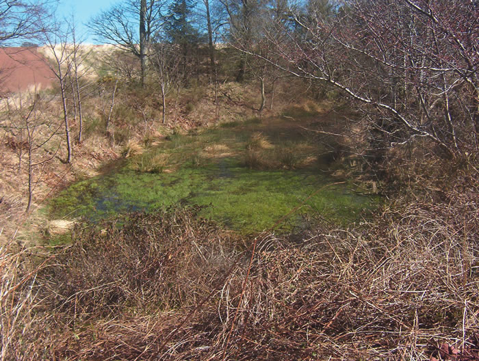 Image 8: A Hutton's marl pit with banking to prevent flooding from burn